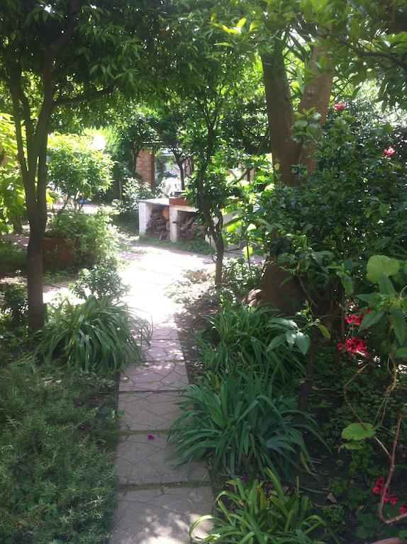 Guest house Capricornio Club