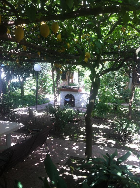 Guest house Capricornio Club 3*