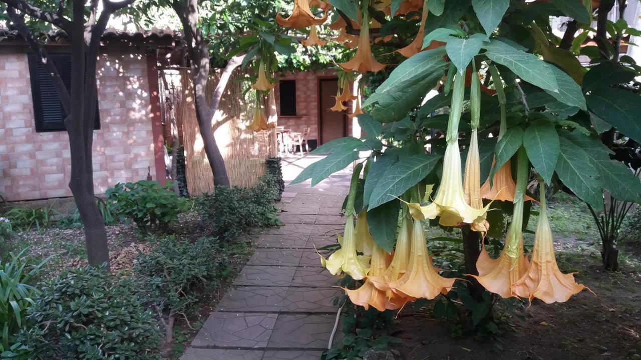 Guest house Capricornio Club 3*